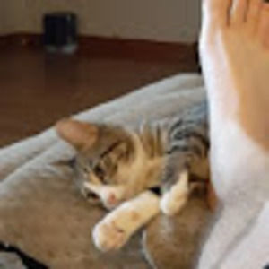 Meet your Posher, Tim